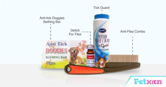 Anti-tick-and-flea-products
