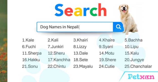 Popular Dog Names in Nepali