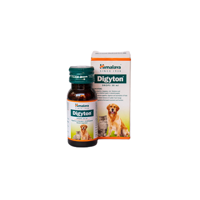 Digestion Supplement for Puppy