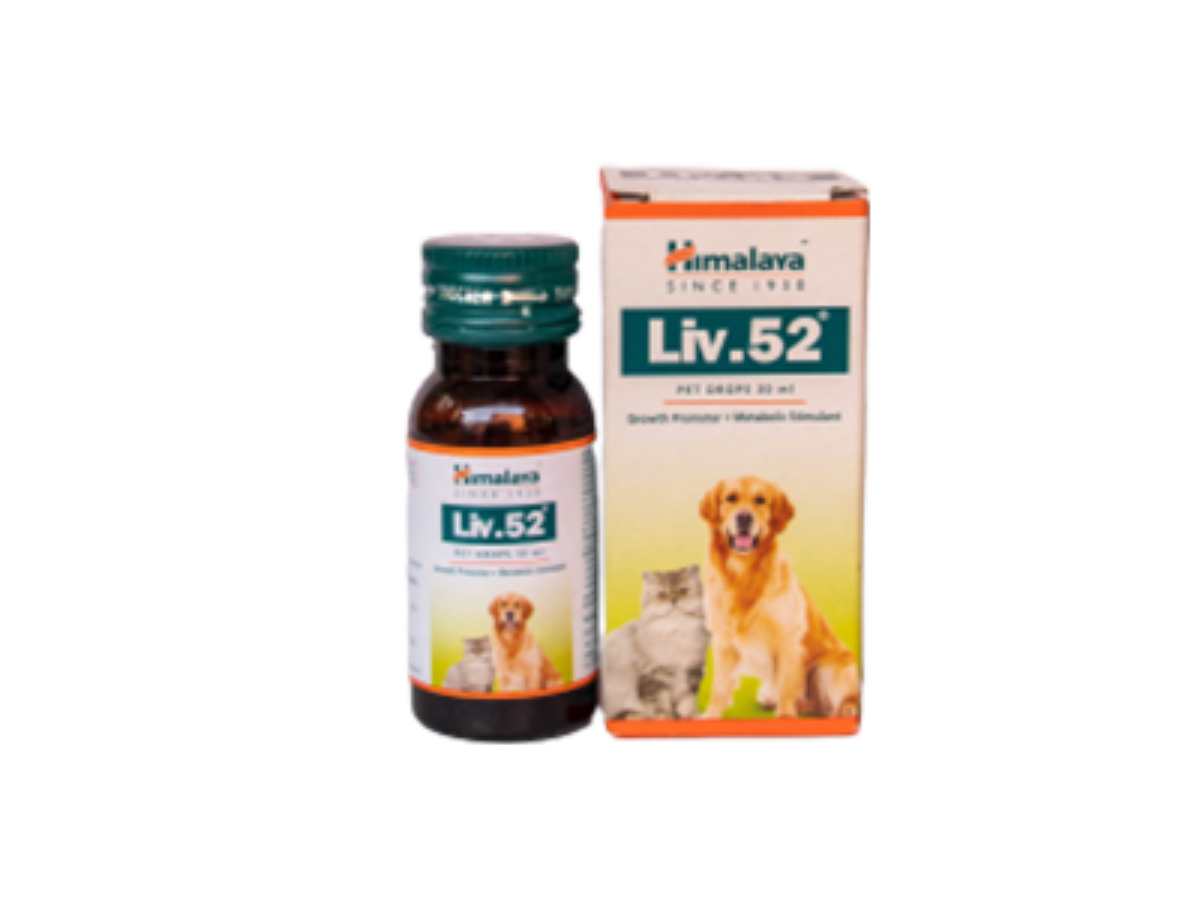 Himalaya Liv 52 Drop - liver tonic for puppies | Online Pet Shop | Petxan