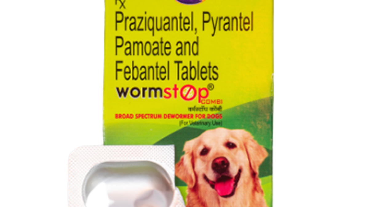 Dog worm outlet pills