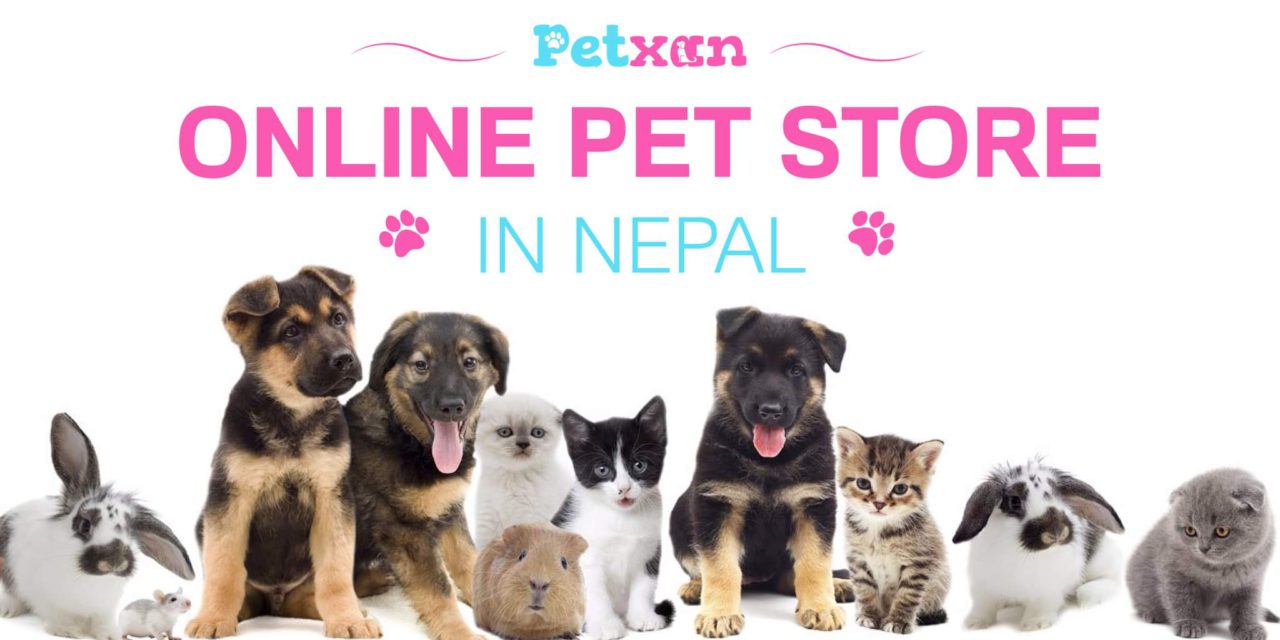 https://petxan.com/wp-content/uploads/2021/11/Petxan-Online-Pet-Store-in-Nepal-1280x640.jpeg