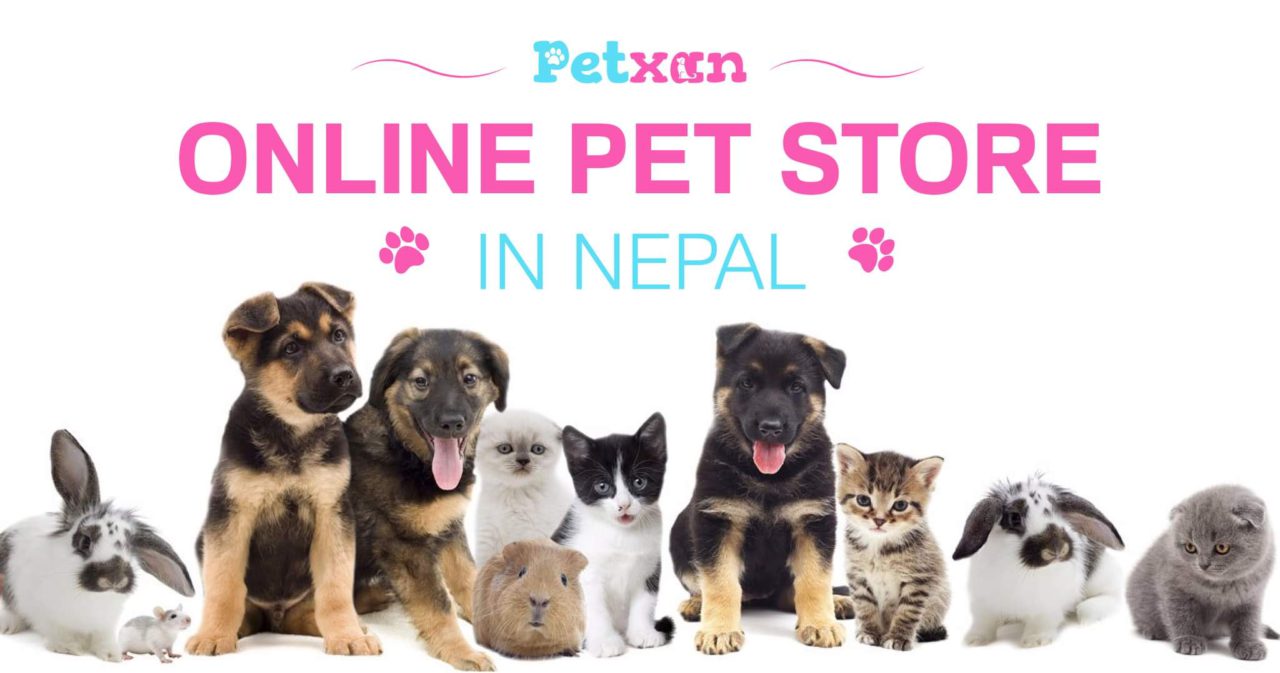 Petxan : Online Pet Store in Nepal | Blog | All about Petxan