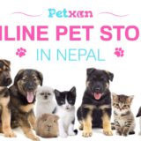 Online Pet Store in Nepal