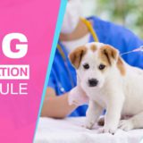 Dog Vaccination Schedule