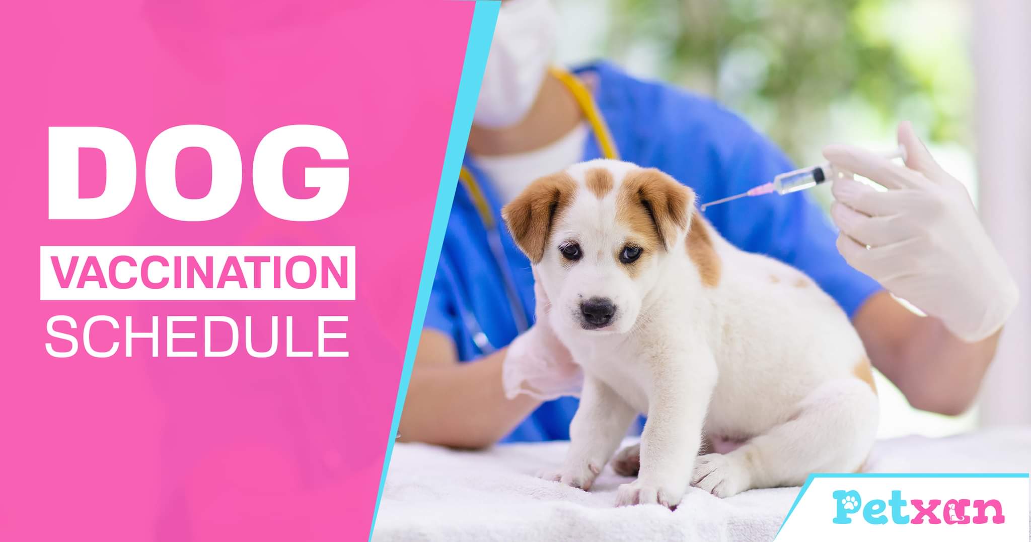 Dog Vaccination Schedule- Blog | Petxan | Online Pet Shop in Nepal