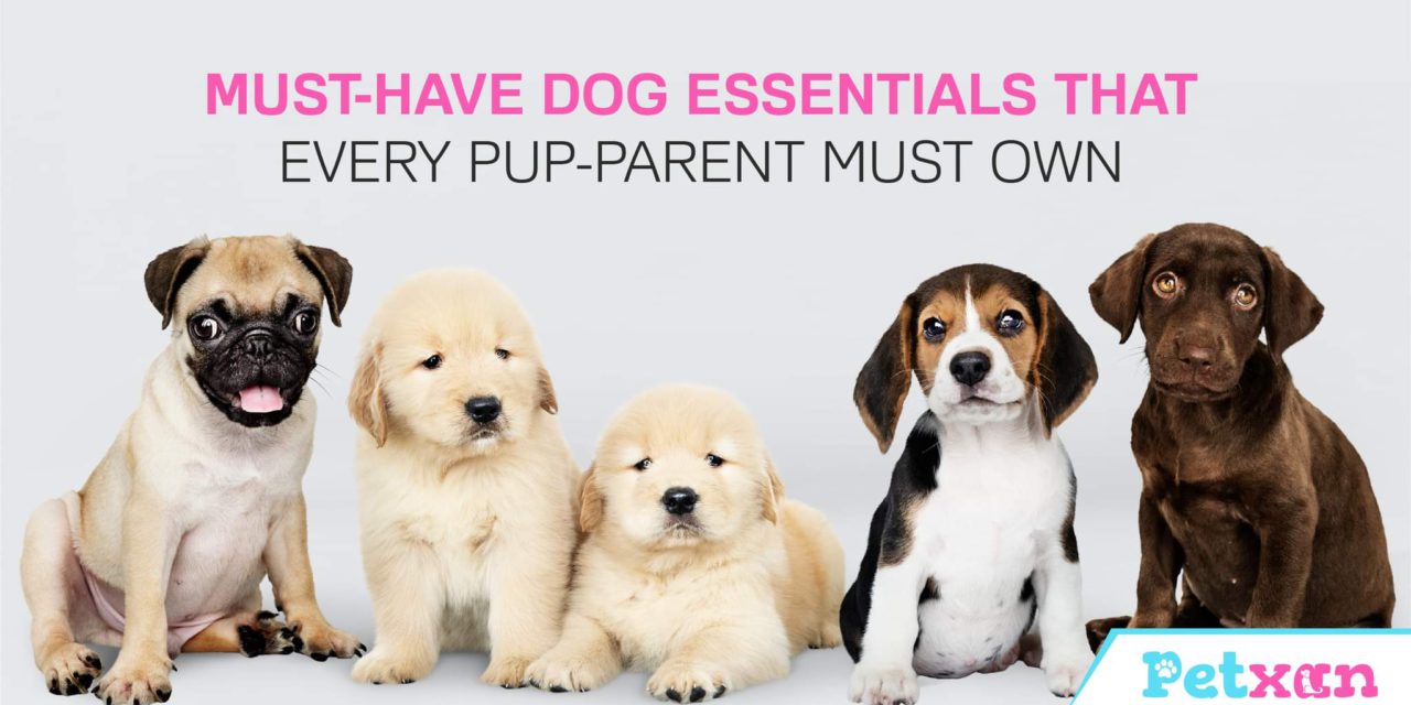 https://petxan.com/wp-content/uploads/2022/01/Pet-essentials-that-every-pup-parent-must-own-1280x640.jpeg