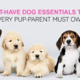 pet essentials that every pup parent must own