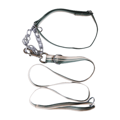 dog leashes with chain pet gear