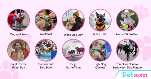 Dog festivals