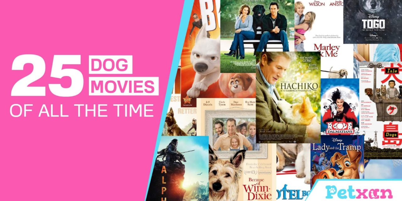 https://petxan.com/wp-content/uploads/2022/12/Dog-Movies-of-all-the-time-1280x640.jpeg