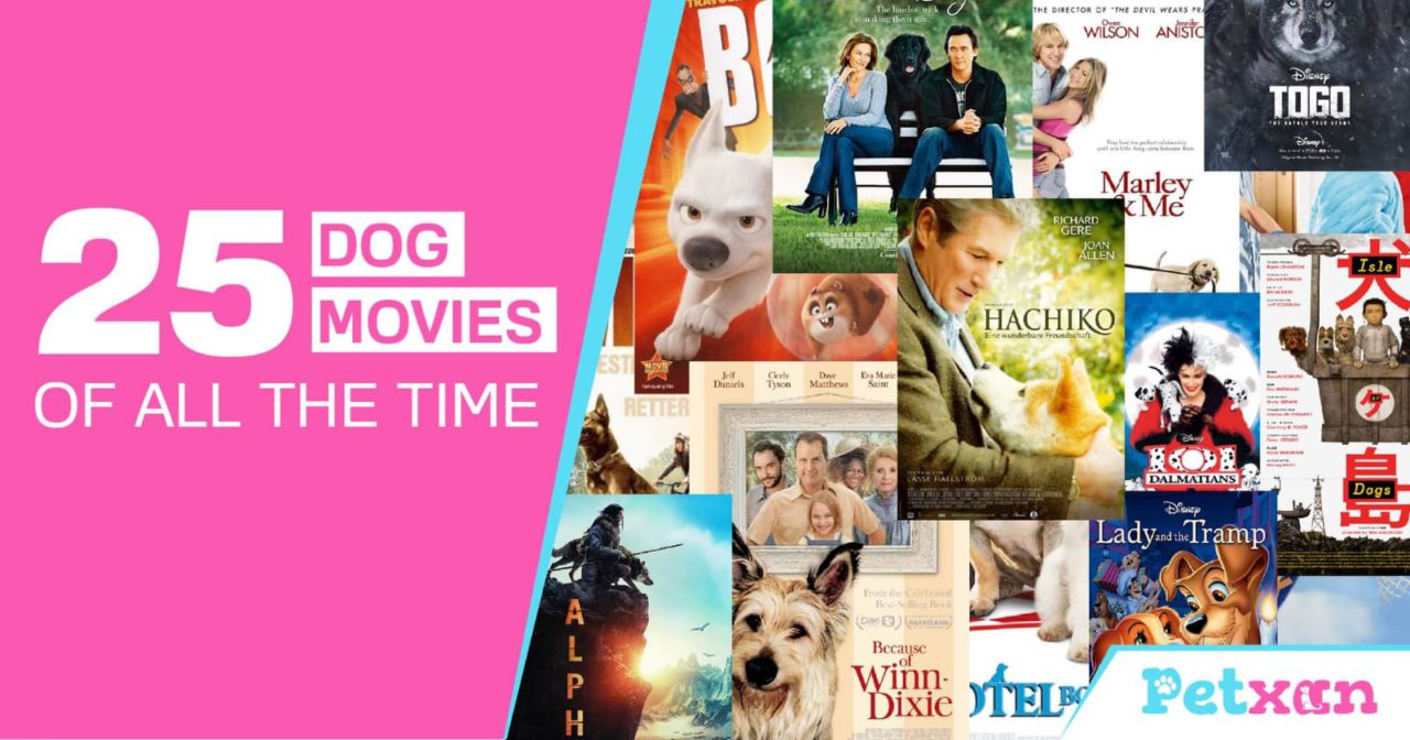 https://petxan.com/wp-content/uploads/2022/12/Dog-Movies-of-all-the-time-1280x672.jpeg