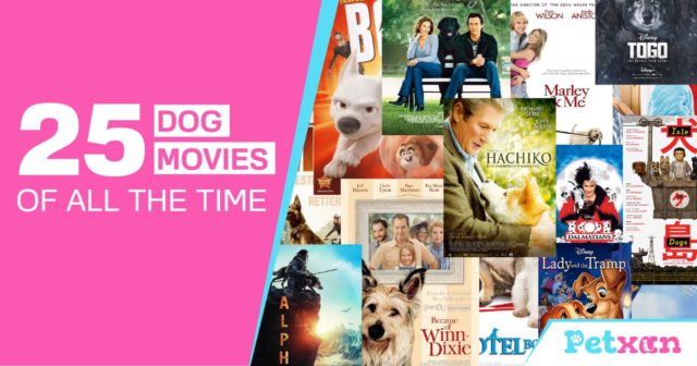 Dog Movies of all the Time