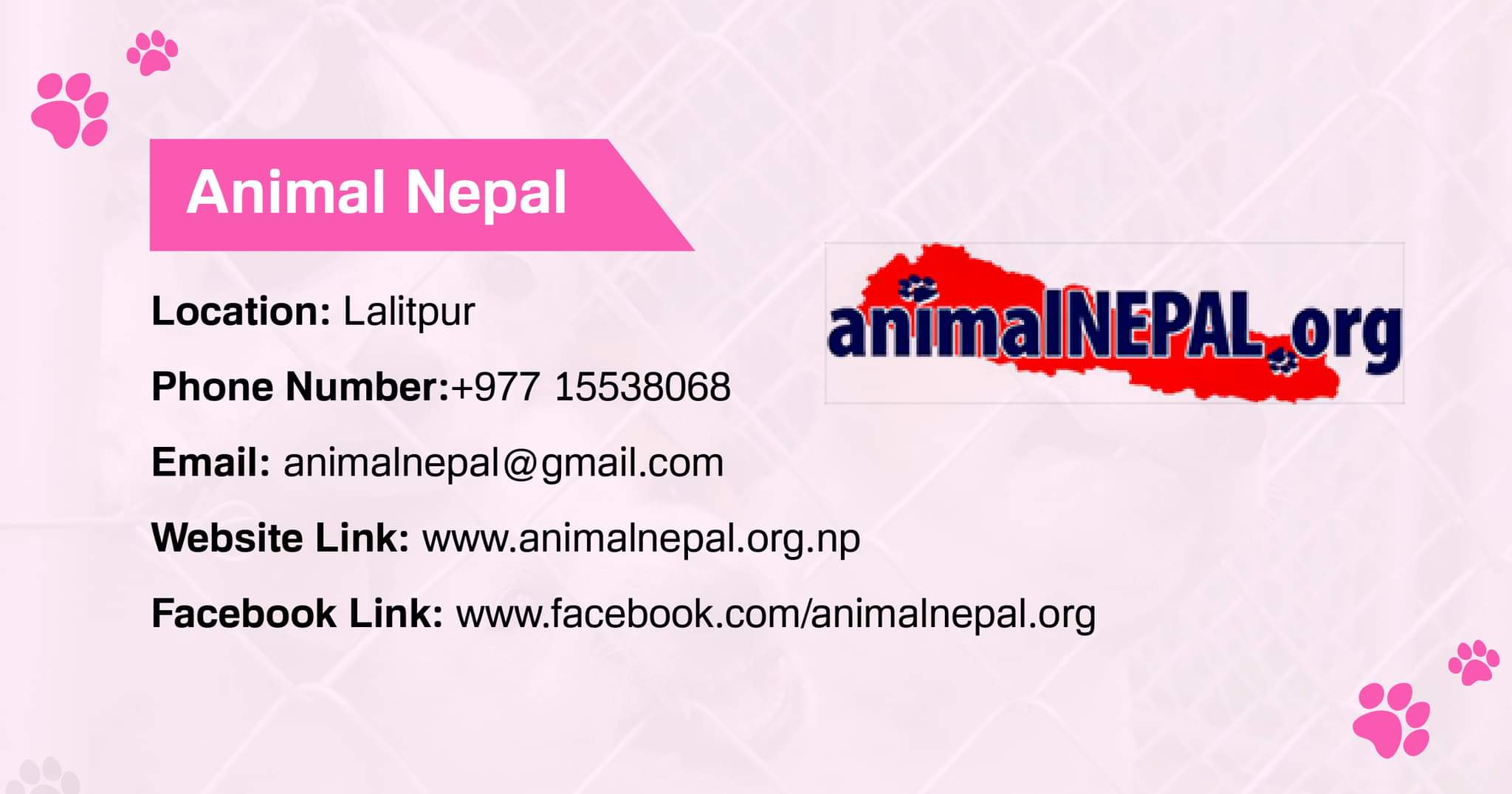Animal Nepal Dog adoption