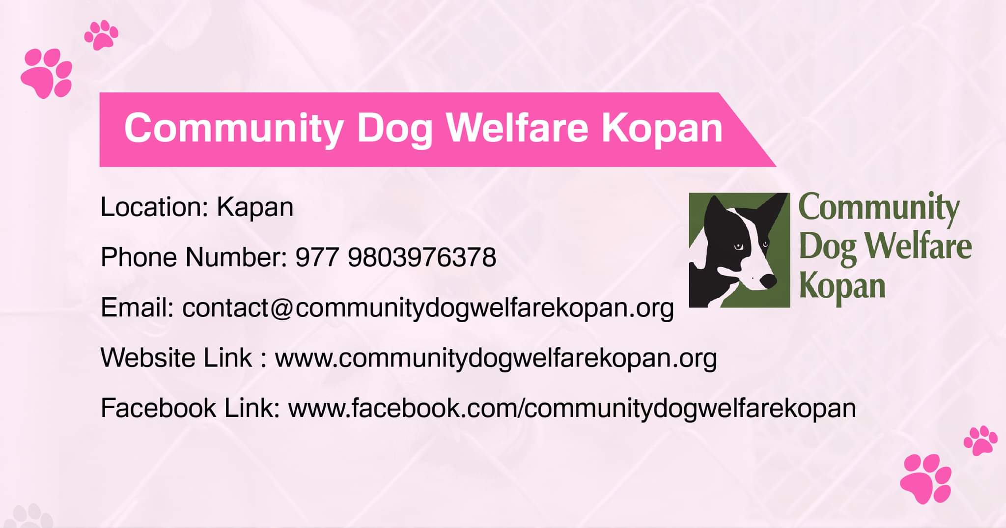 Community Dog Welfare Kopan dog adoption