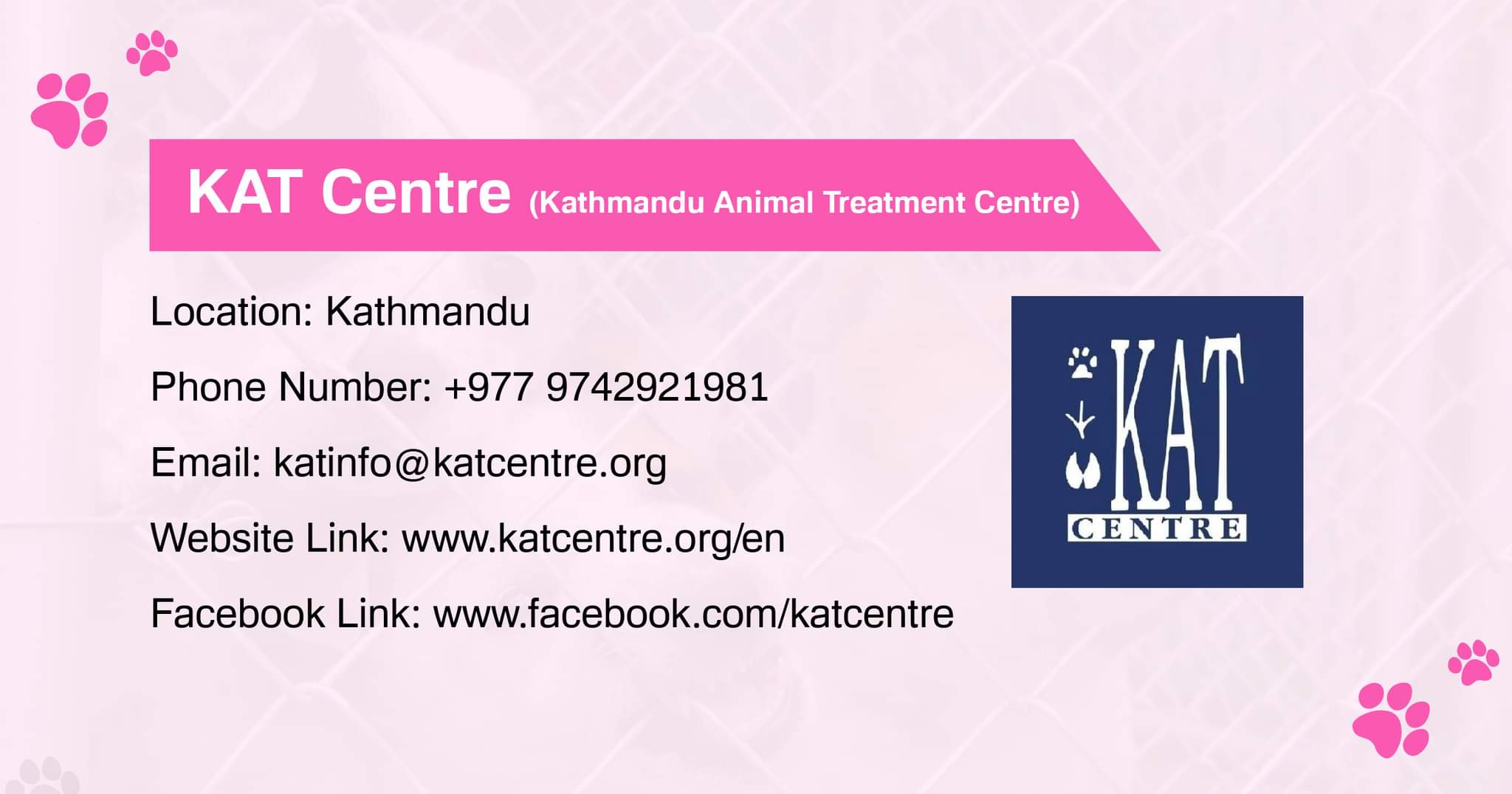 KAT Centre dog adoption