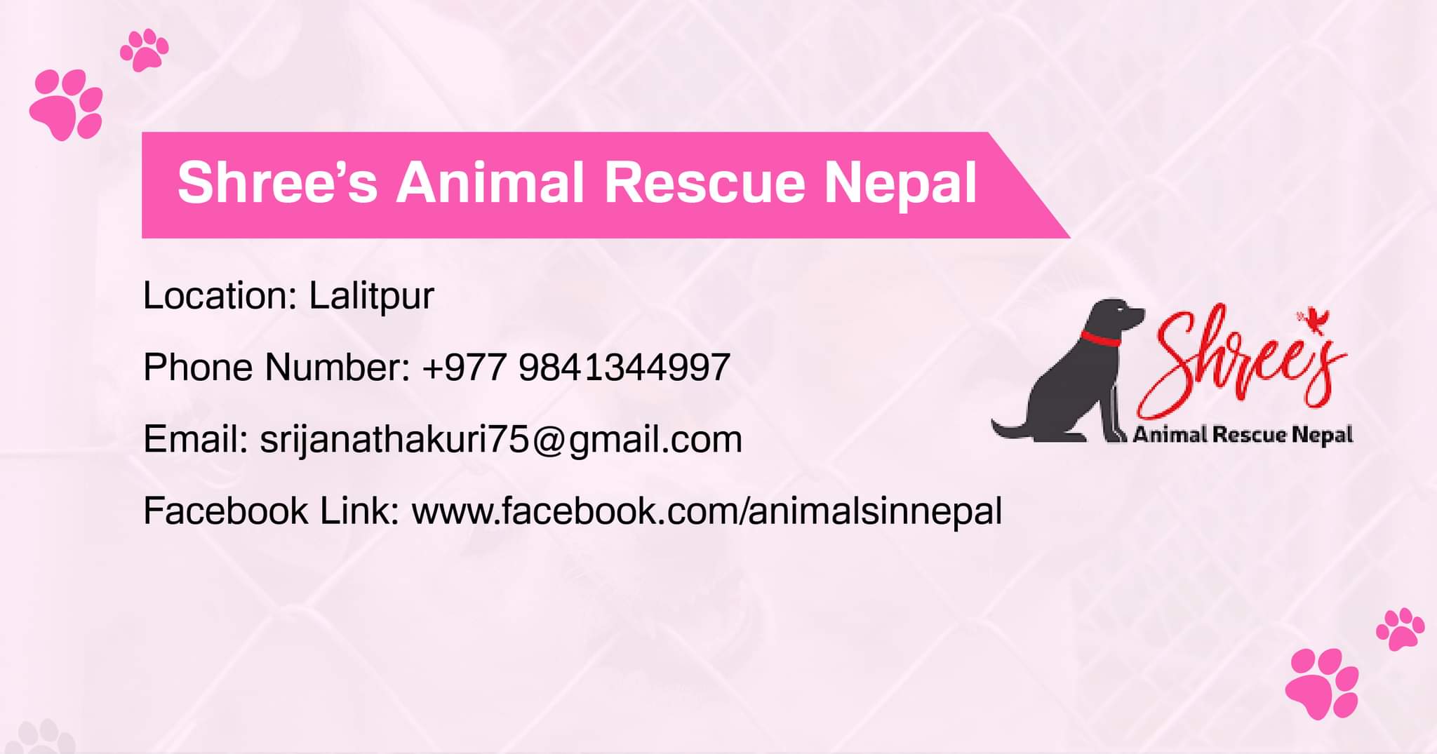 Shree's Animal Rescue Nepal