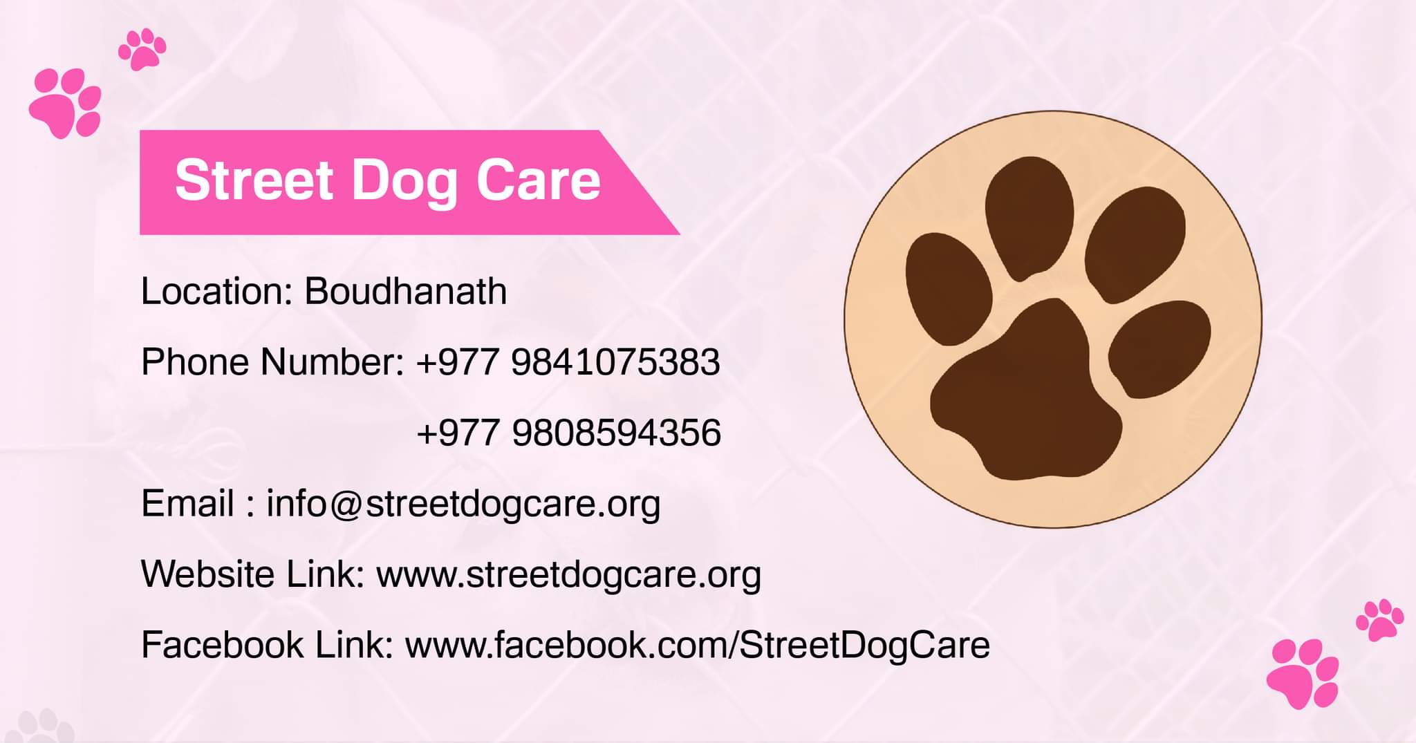Street Dog Care Dog adoption