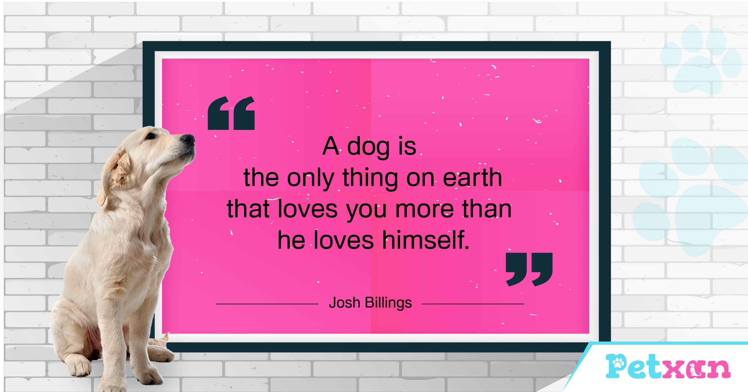 Dog Love Quote about Love
