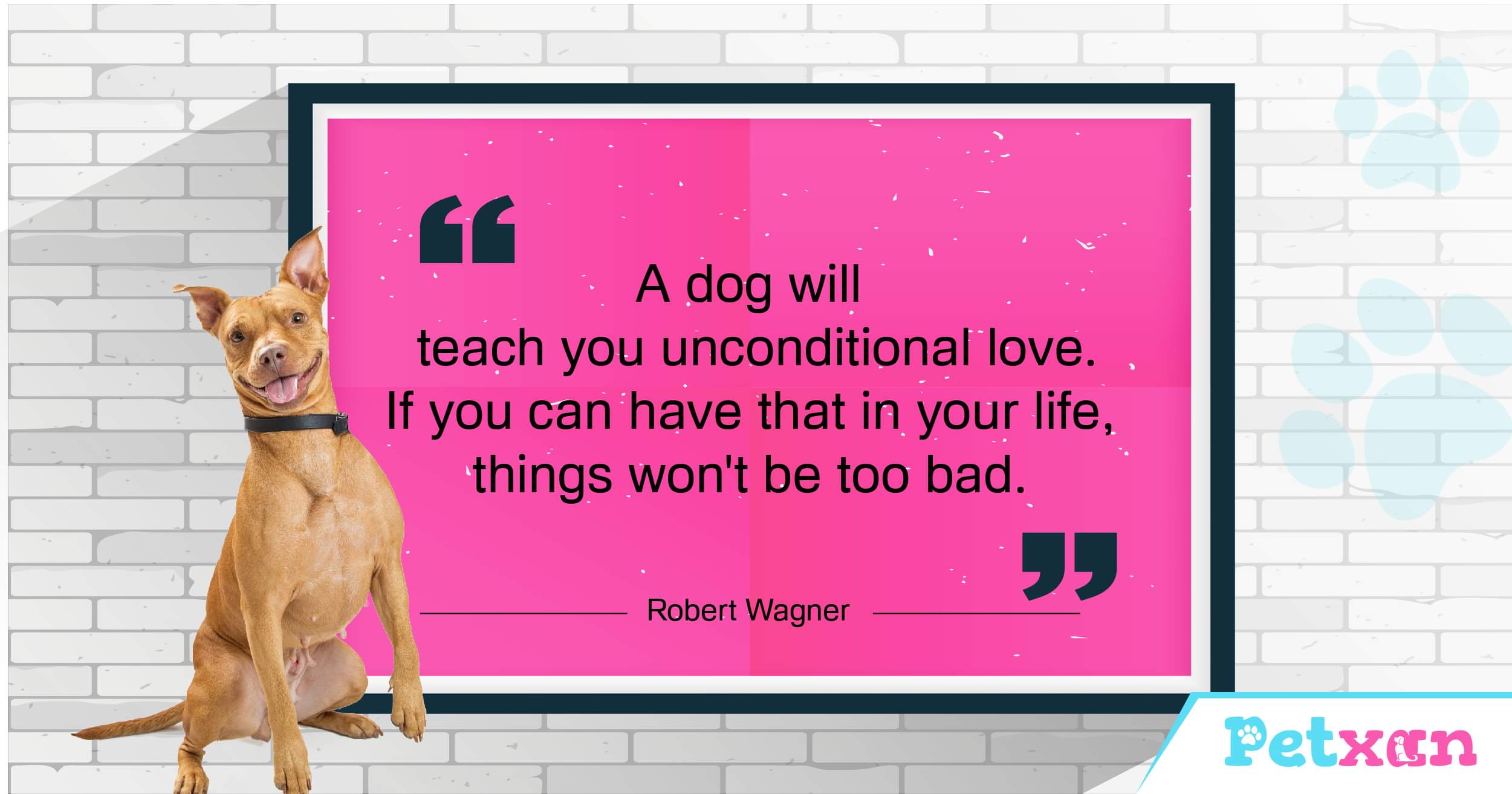 Dog Love Quote about unconditional Love